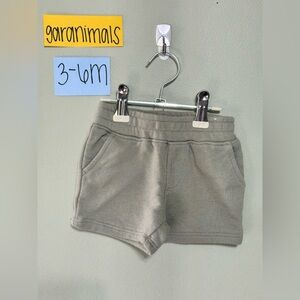 NWOT Infant Garanimals Olive Green Shorts, 3-6 Months